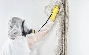 Why You Should Choose Our Mold Remediation Services in Huguley, AL